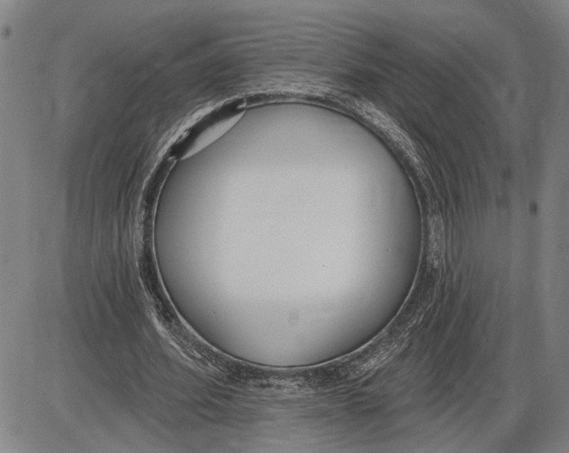 X0000085000580200703261131