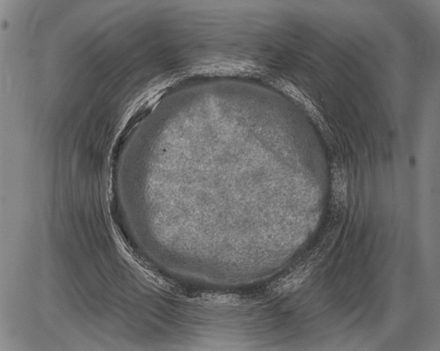 X0000085000582200703261131