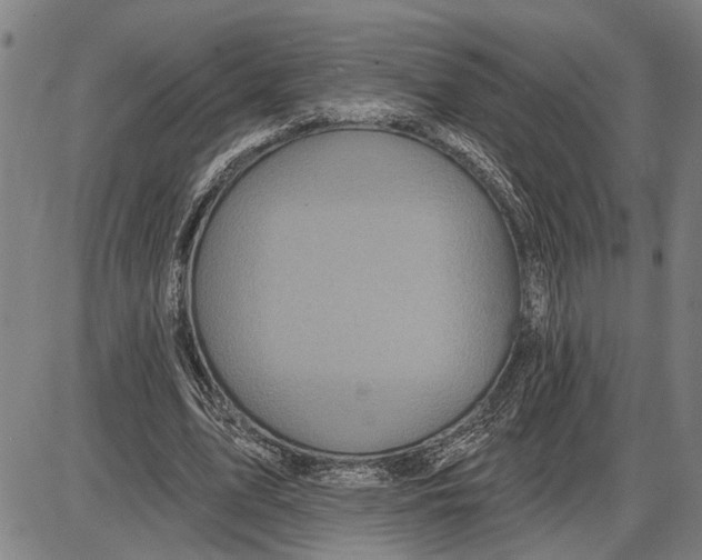 X0000085000583200703261131