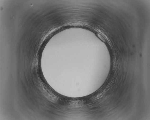 X0000085000584200703261131