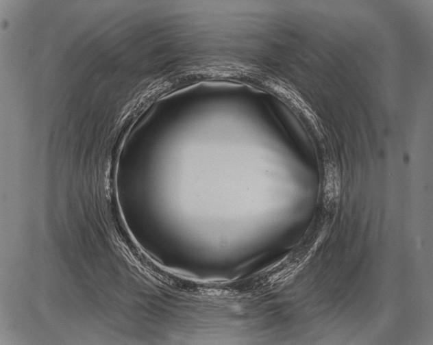 X0000085000585200703261131