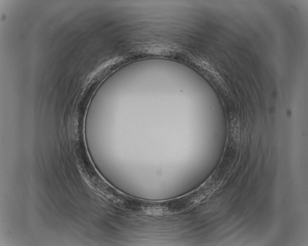 X0000085000587200703261131