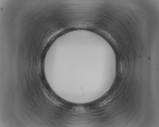 X0000085000588200703261131