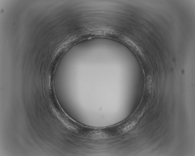 X0000085000589200703261131