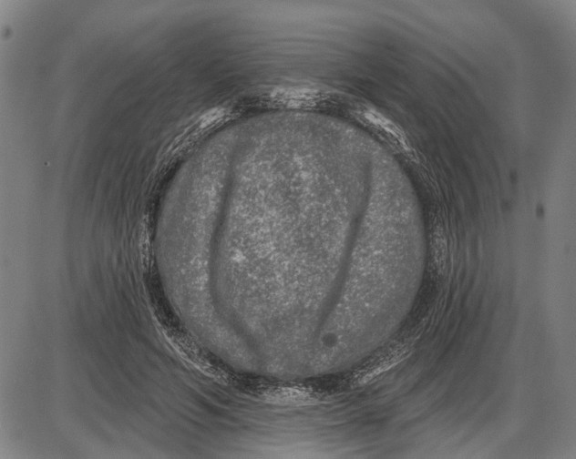 X0000085000594200703261131