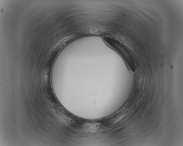 X0000085000595200703261131