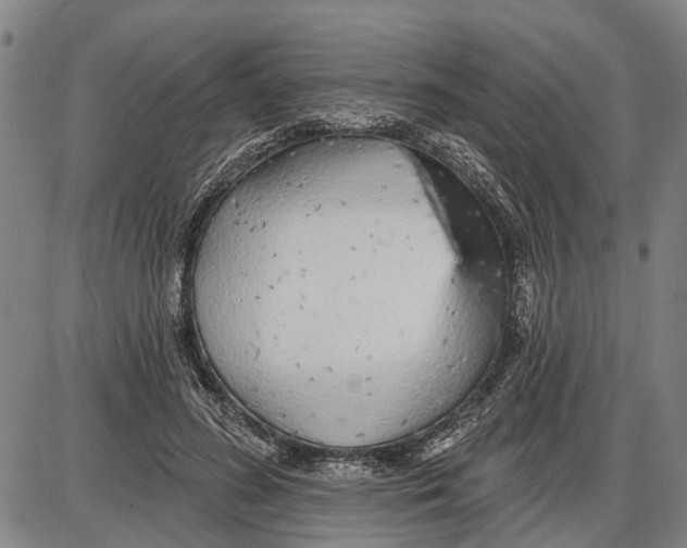 X0000085000596200703261131