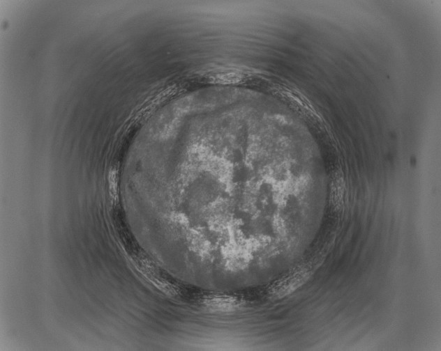 X0000085000598200703261130