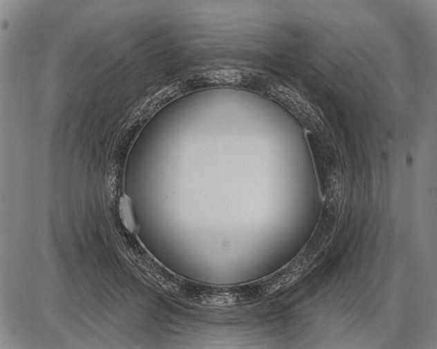 X0000085000600200703261130