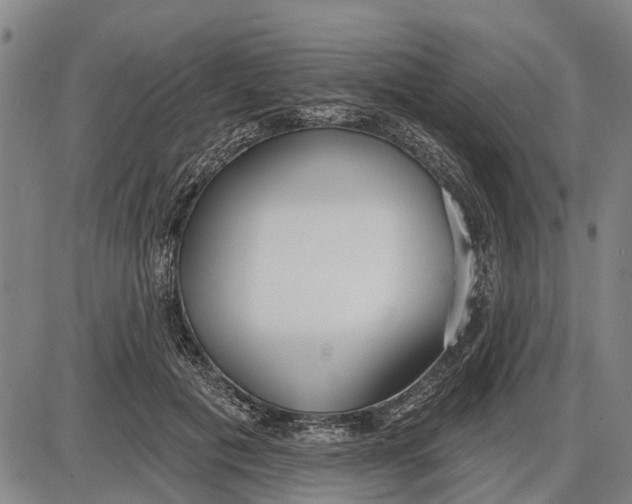 X0000085000601200703261130