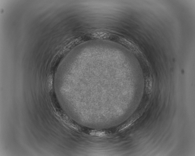 X0000085000602200703261130