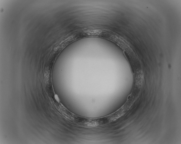 X0000085000604200703261130