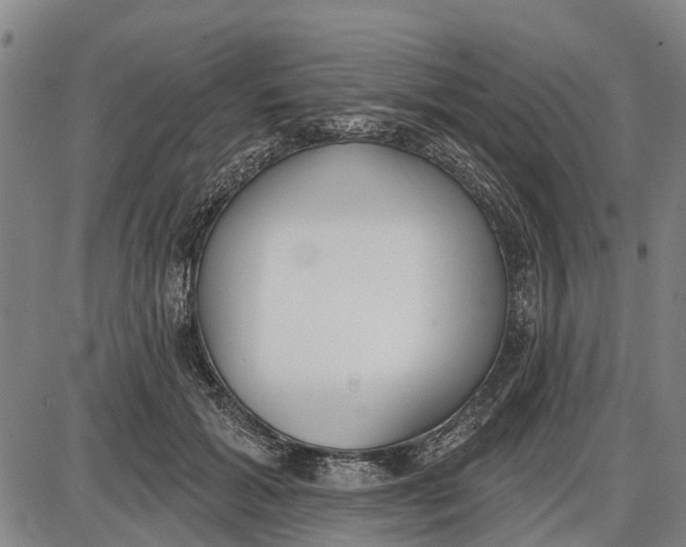 X0000085000605200703261130