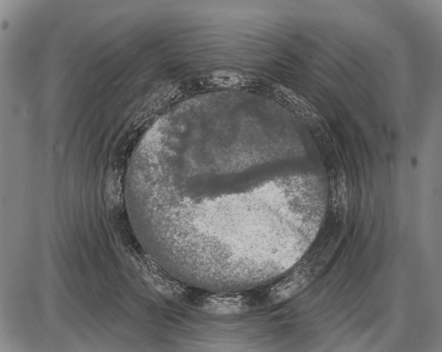 X0000085000606200703261130