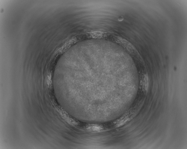 X0000085000610200703261130