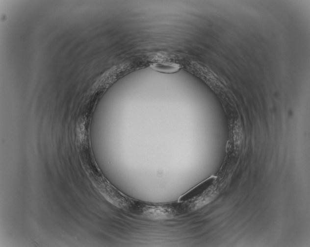 X0000085000611200703261130