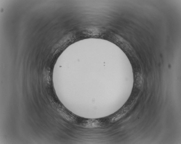 X0000085000612200703261130