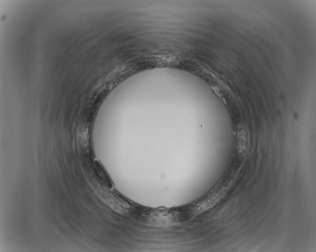 X0000085000613200703261130