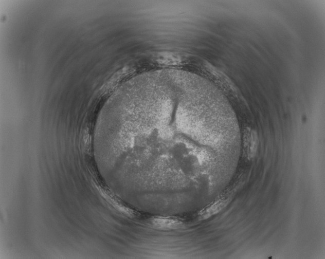 X0000085000614200703261130