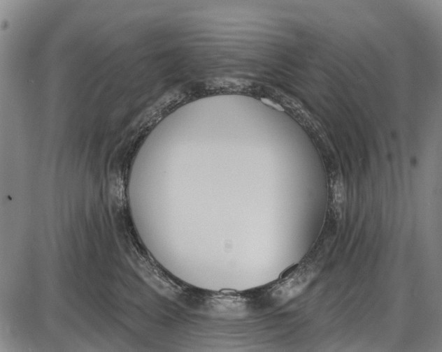 X0000085000617200703261130