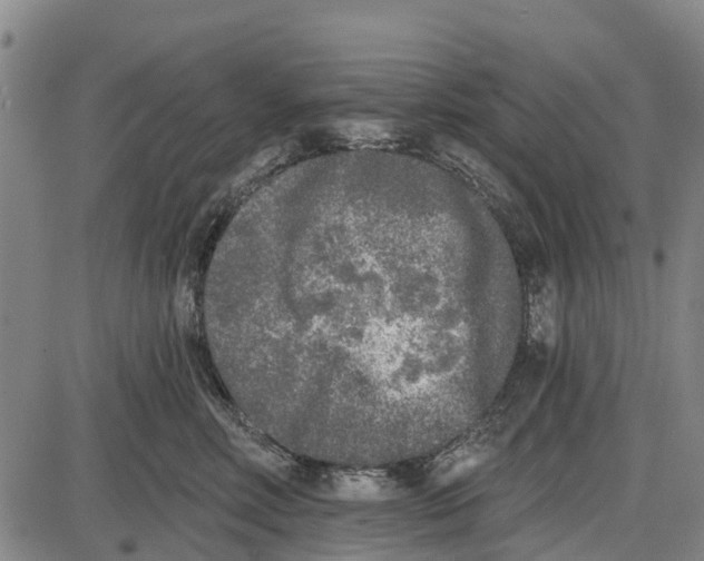 X0000085000618200703261130