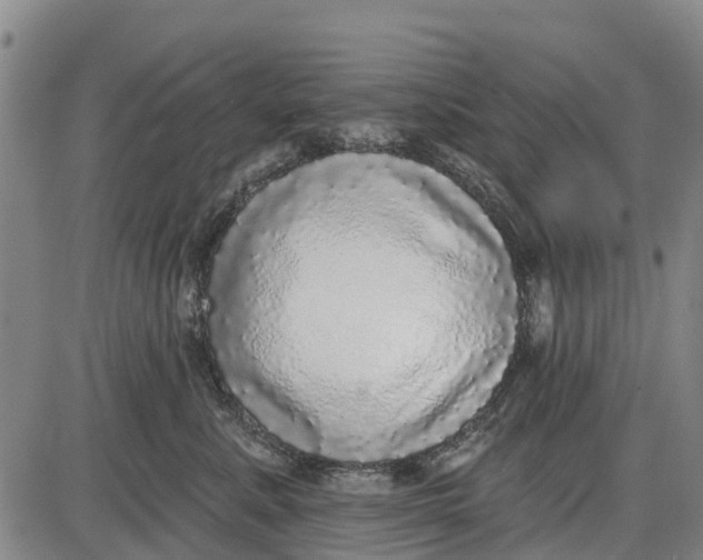 X0000085000619200703261130