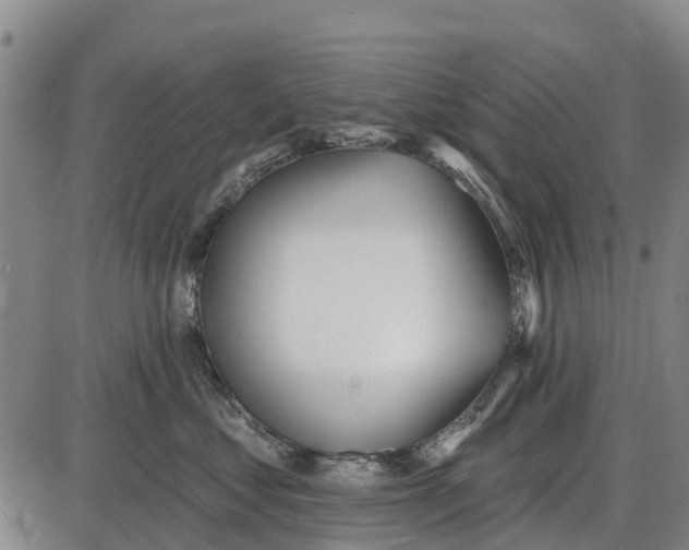 X0000085000621200703261130