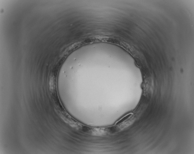 X0000085000623200703261130