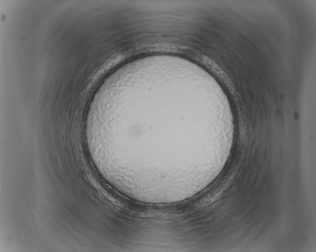 X0000085000625200703261129