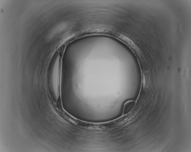 X0000085000627200703261129