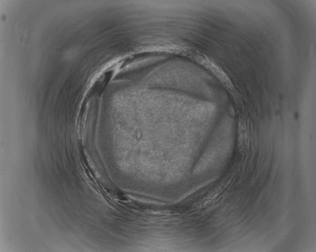 X0000085000628200703261129