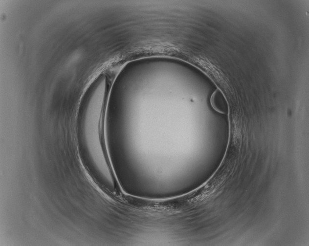 X0000085000630200703261129