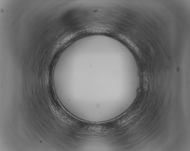 X0000085000631200703261129