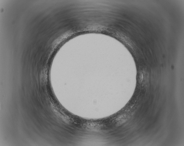 X0000085000632200703261129