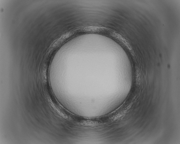 X0000085000633200703261129