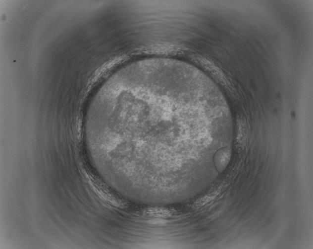 X0000085000636200703261129