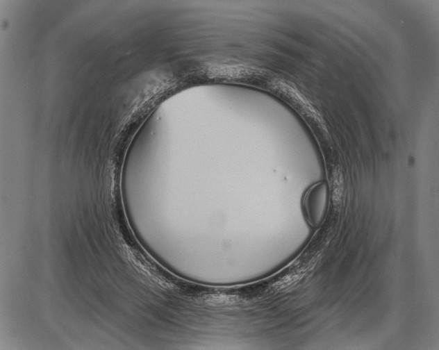 X0000085000637200703261129