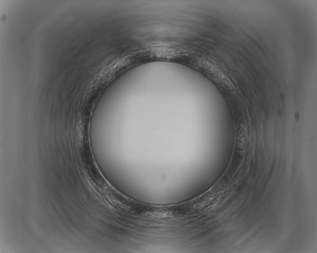 X0000085000639200703261129