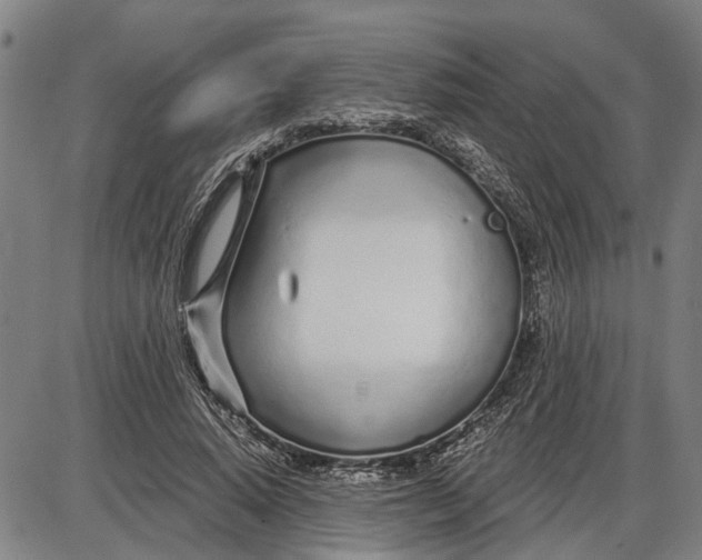 X0000085000640200703261129