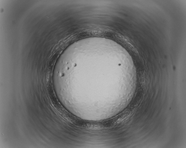 X0000085000645200703261130