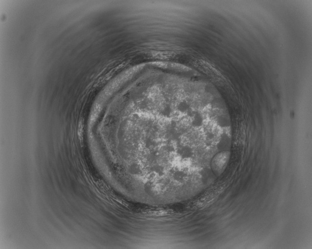 X0000085000646200703261130