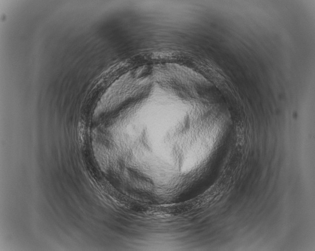 X0000085000648200703261130