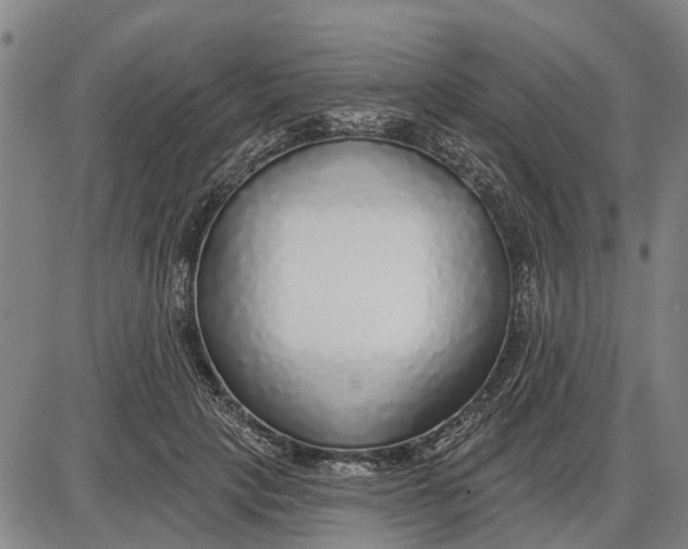 X0000085000649200703261130