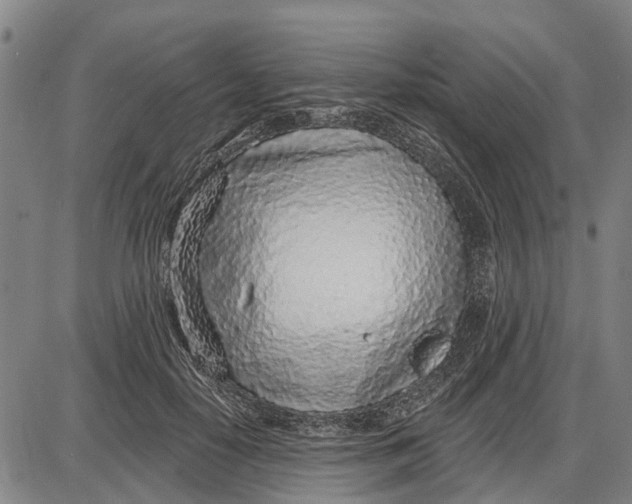 X0000085000650200703261130