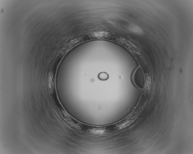 X0000085000651200703261130