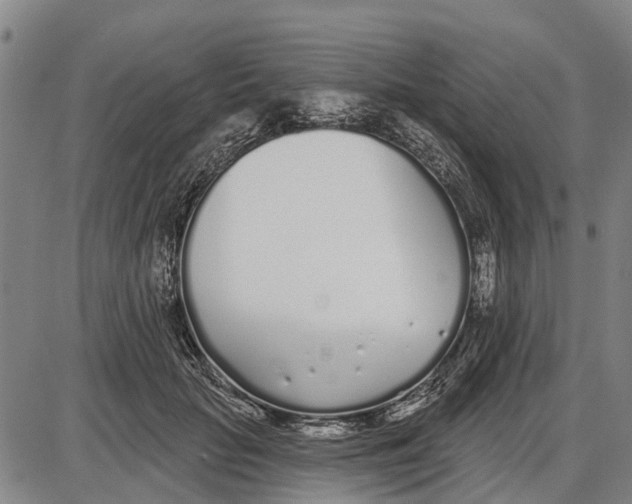 X0000085000653200703261130