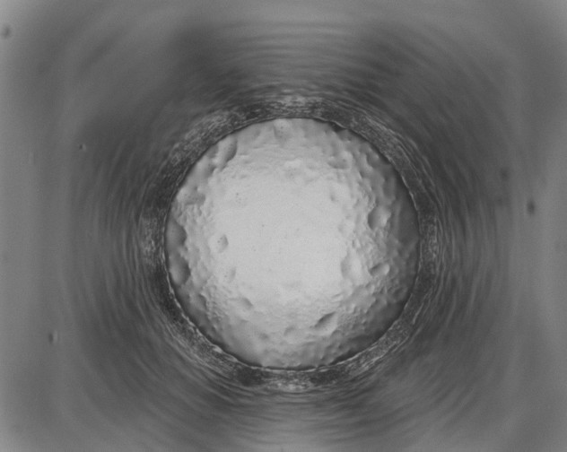 X0000085000654200703261130