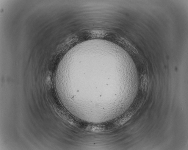 X0000085000655200703261130