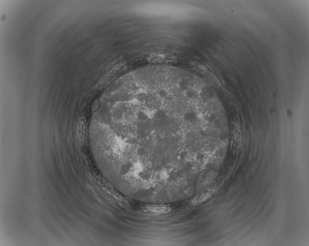 X0000085000659200703261130