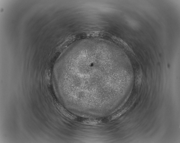 X0000085000661200703261130